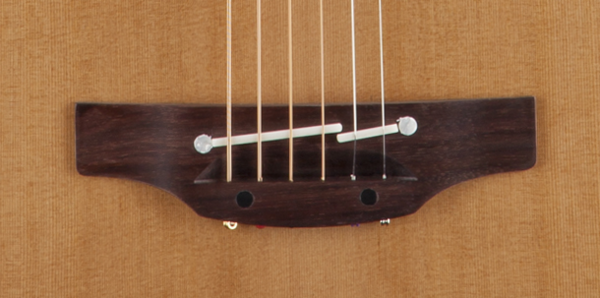 TAKAMAINE P3NY Pro Series 3