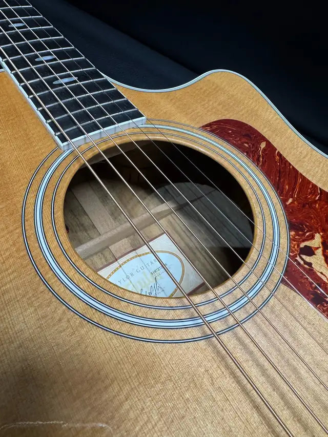 Taylor 416ce (PRE-OWNED)
