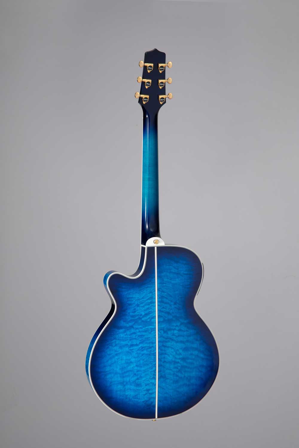 TAKAMAINE TSP100 DBS Thinline
