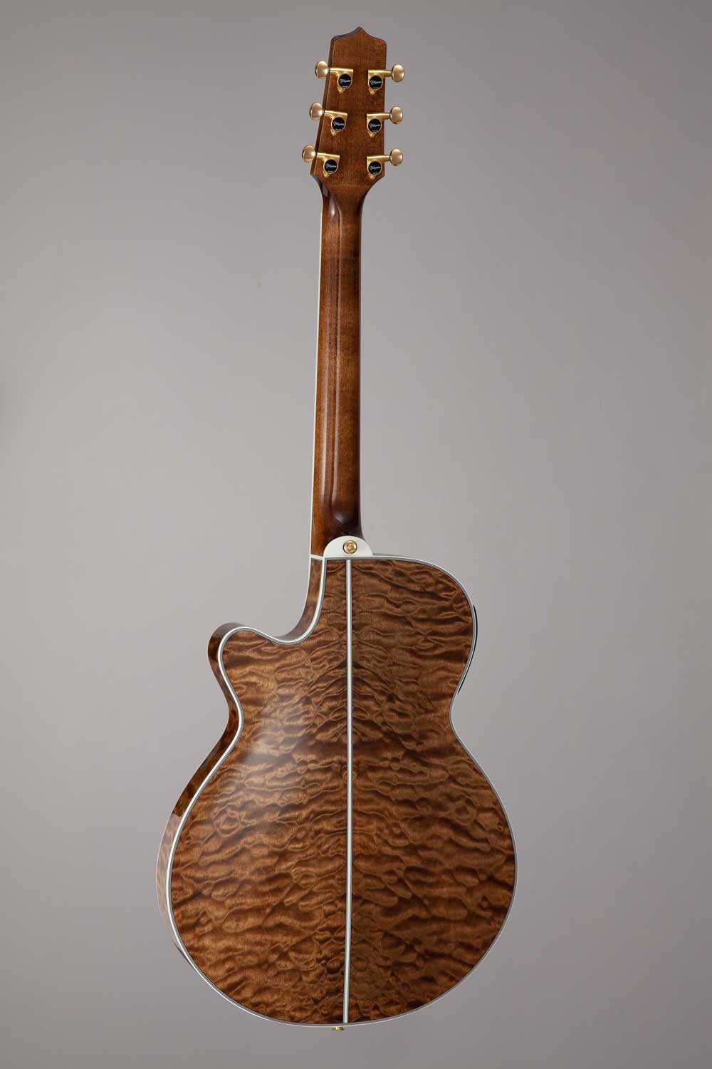 TAKAMAINE TSP100 VT Thinline