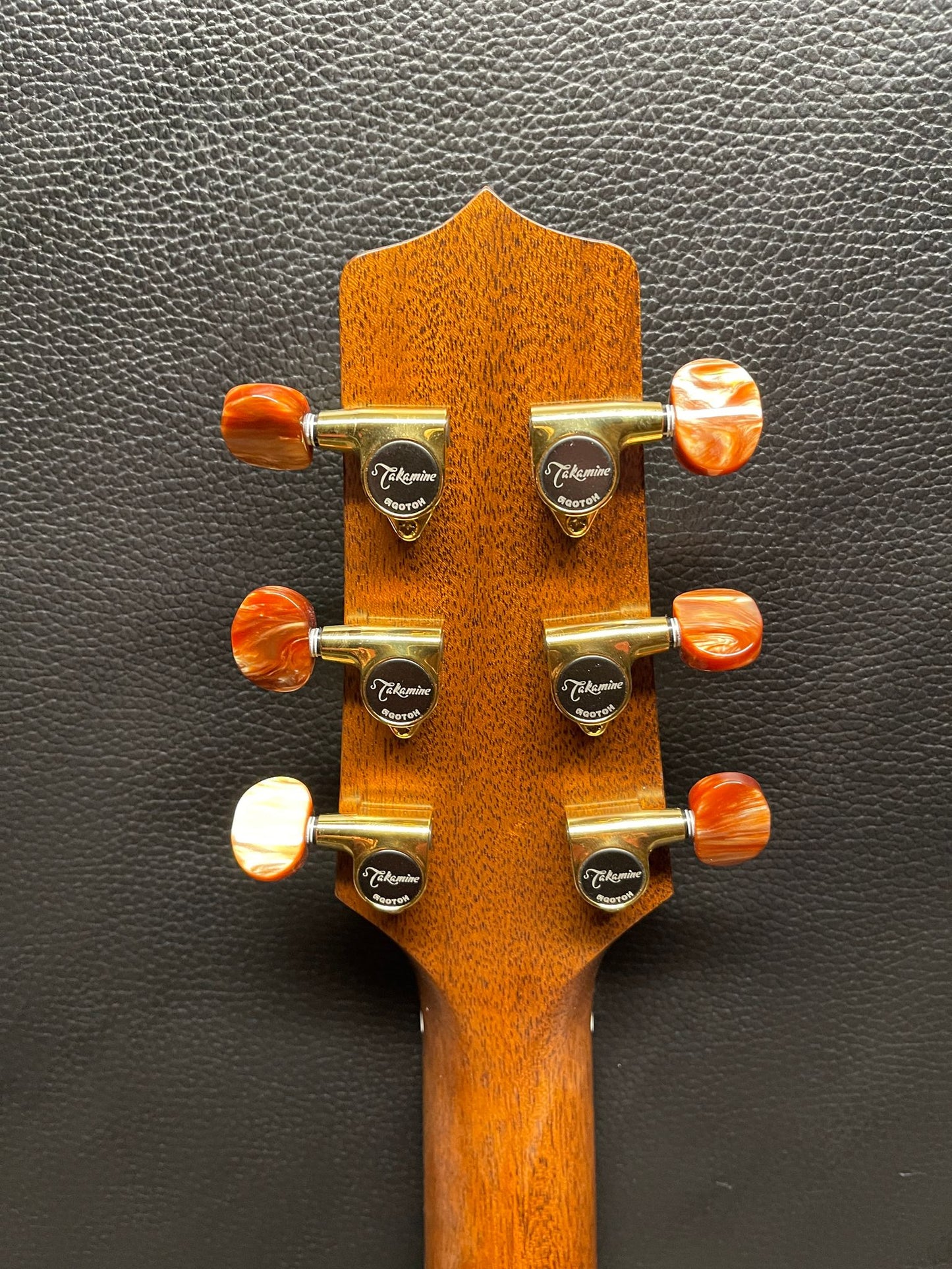 Takamine GB73 PRO