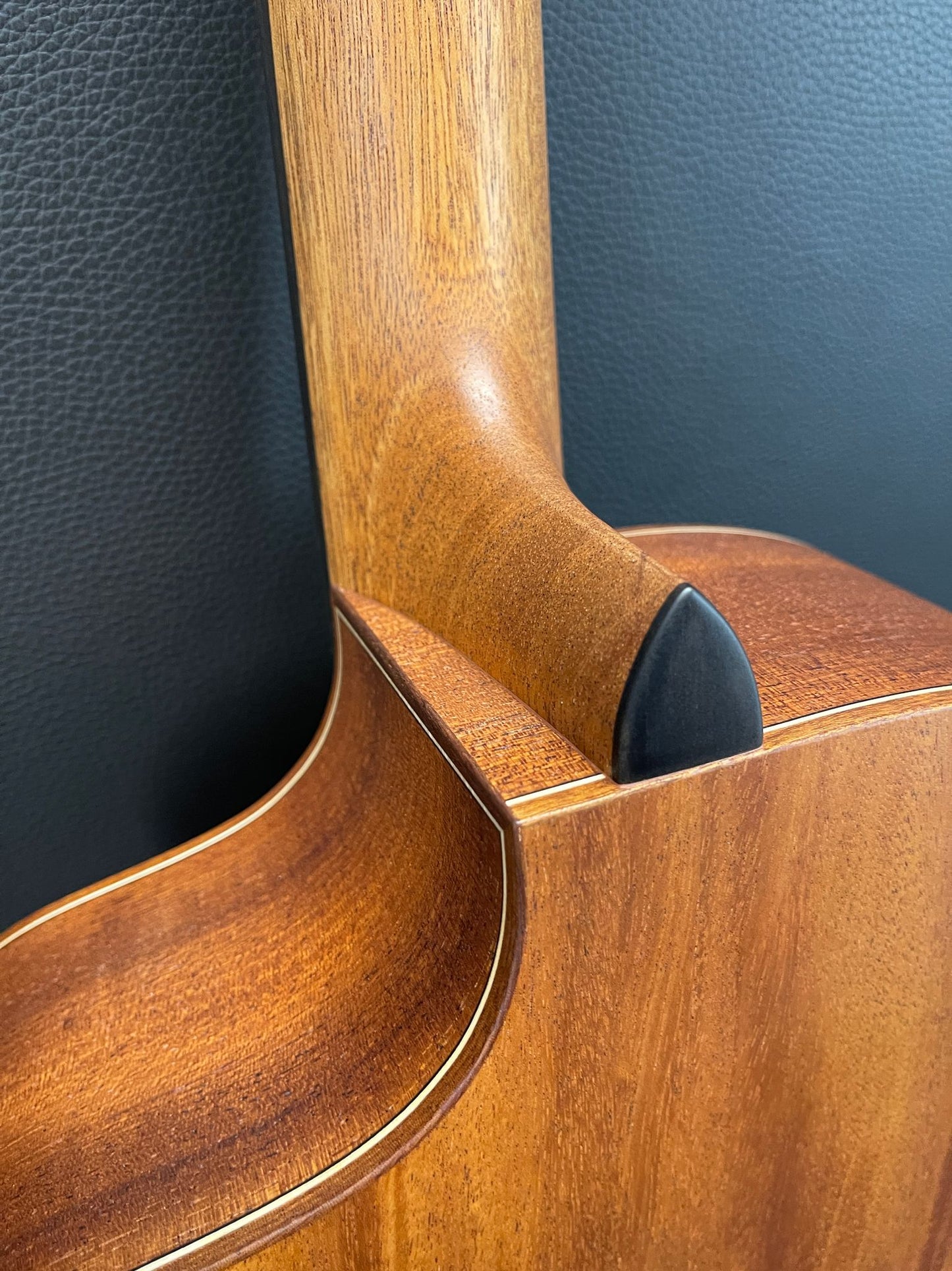 Dowina Mahogany Selection GAC #2303505
