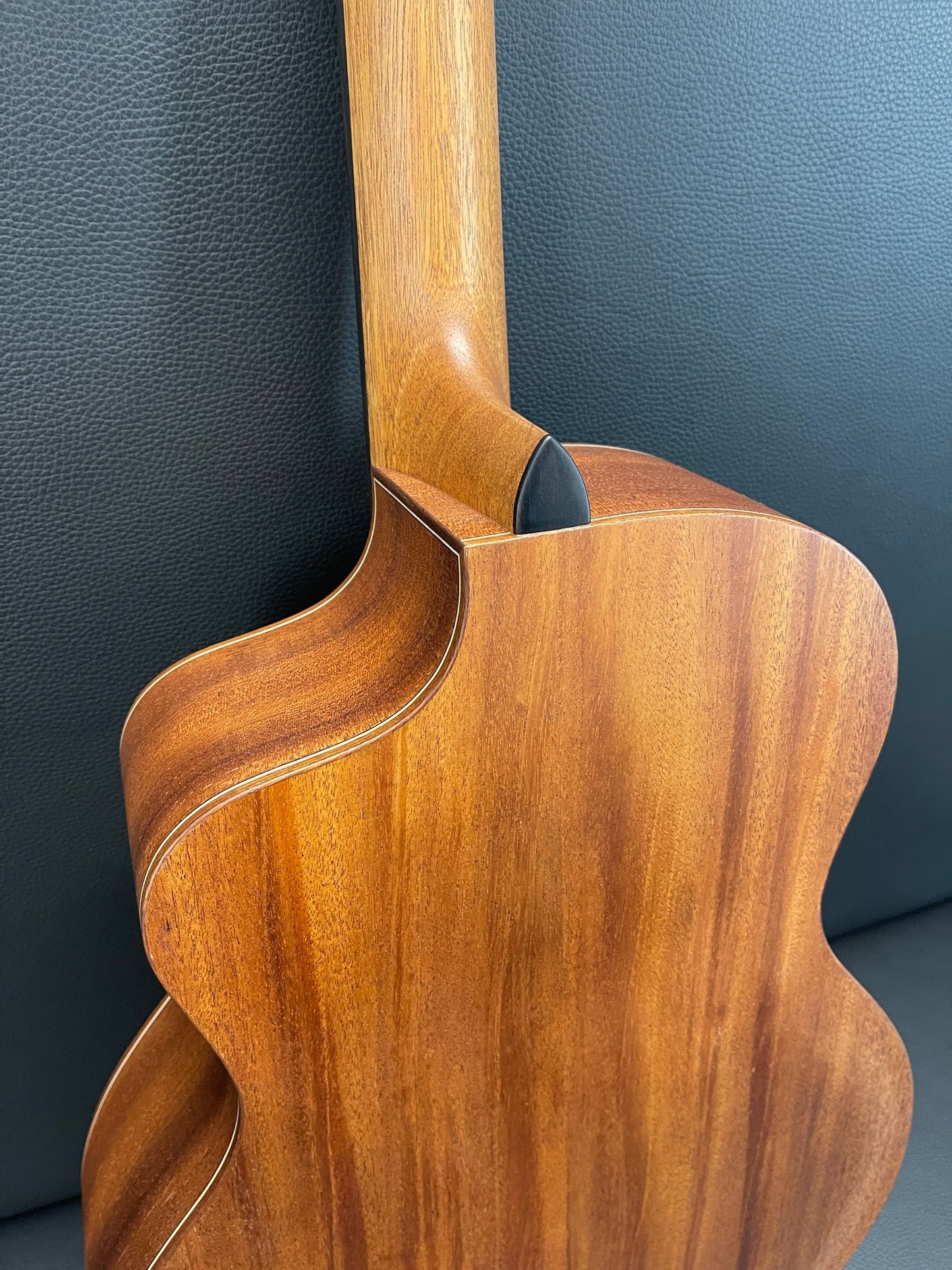 Dowina Mahogany Selection GAC #2303505