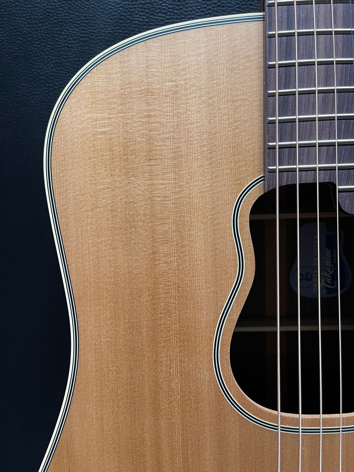 Takamine GB73 PRO