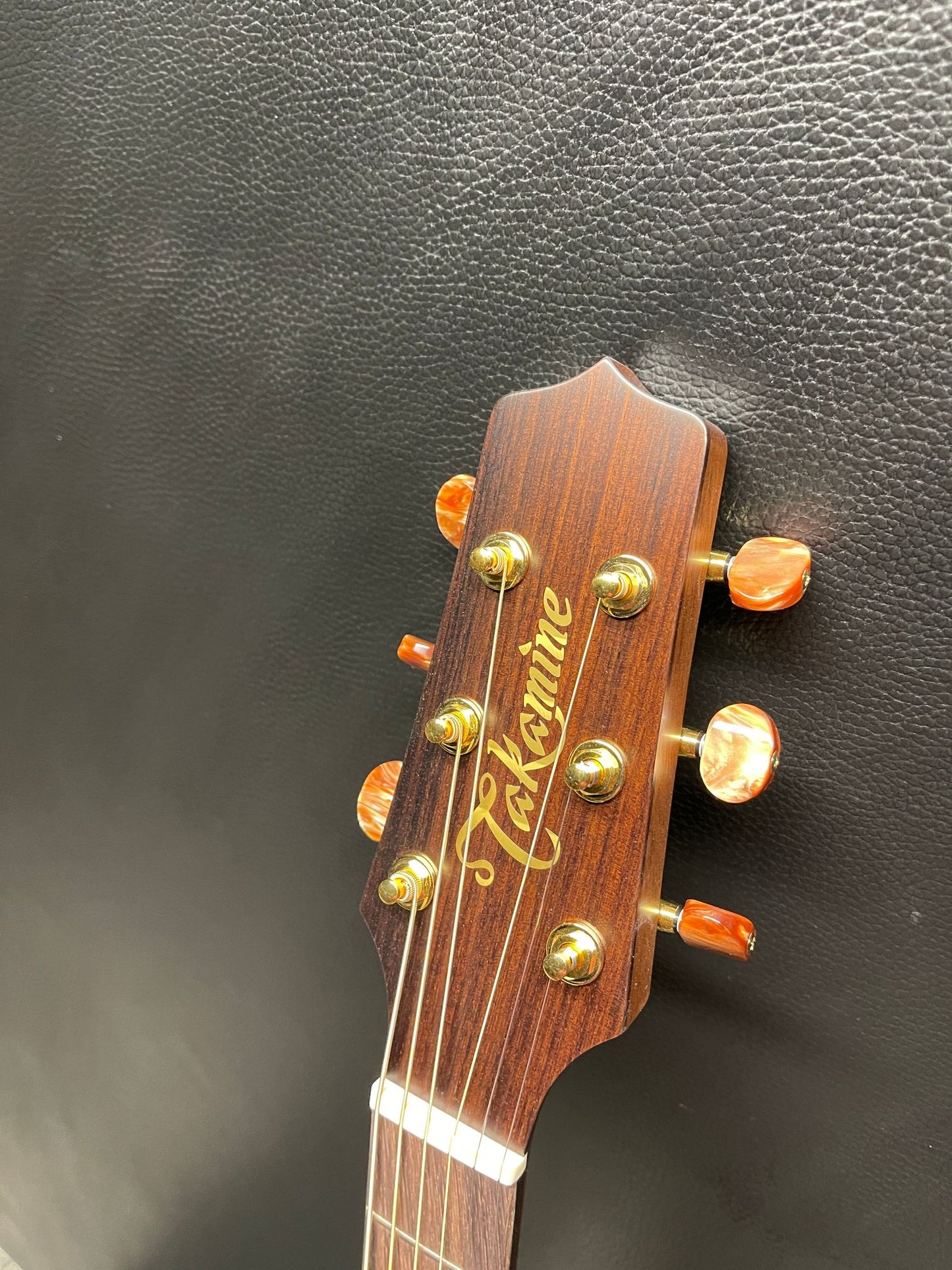 Takamine GB73 PRO