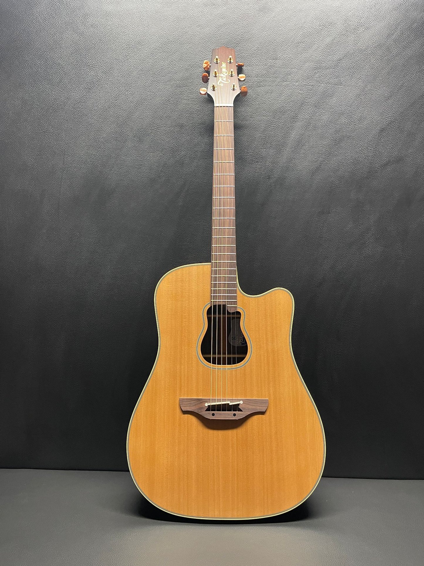 Takamine GB73 PRO