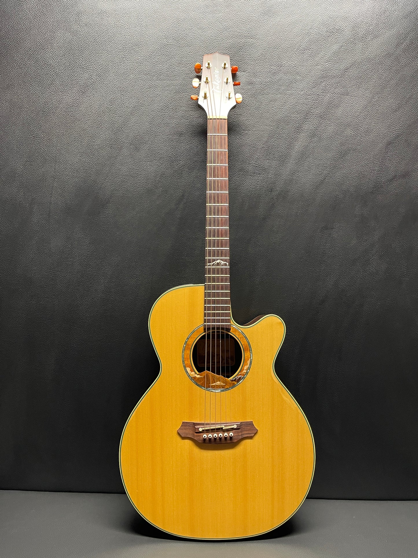 Takamine 99 LTD 1999 (PRE-OWNED)