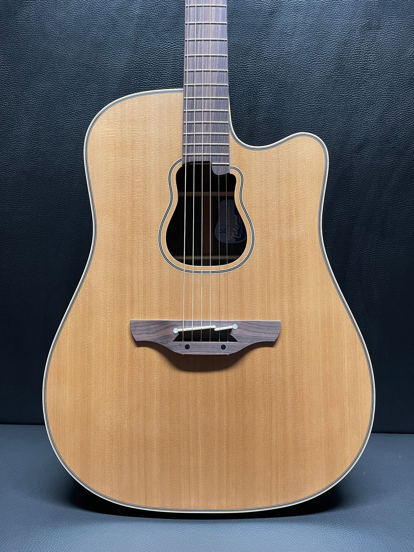 Takamine GB73 PRO