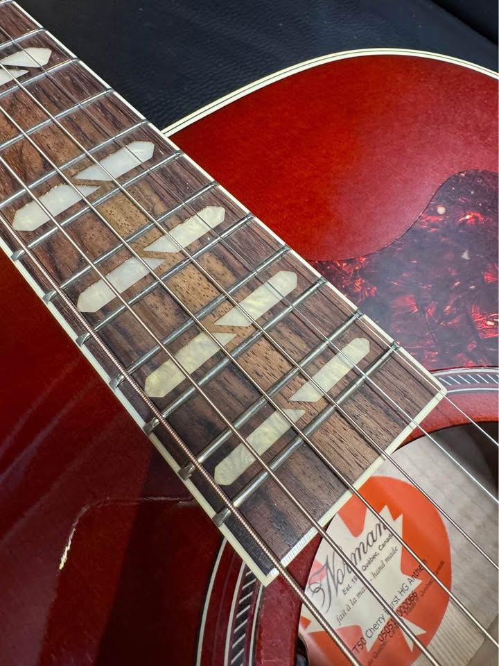 Norman Studio 50 Cherry Burst (PRE-OWNED)