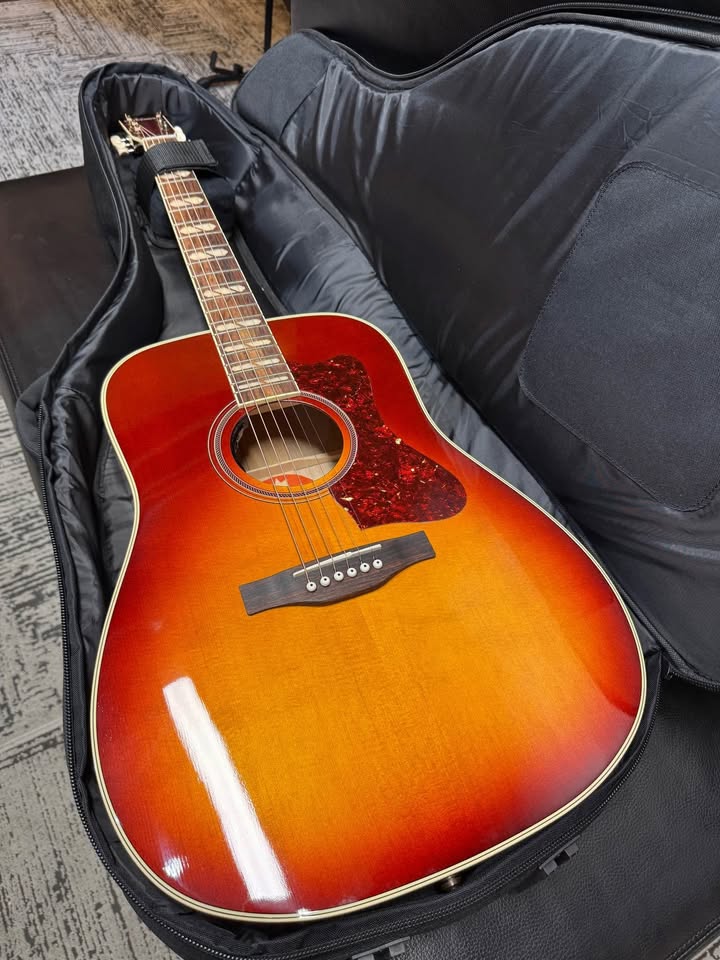Norman Studio 50 Cherry Burst (PRE-OWNED)