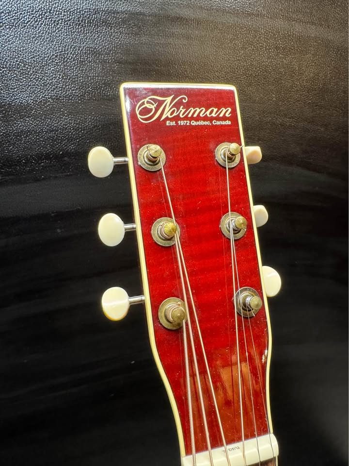 Norman Studio 50 Cherry Burst (PRE-OWNED)
