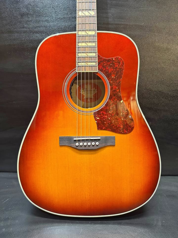 Norman Studio 50 Cherry Burst (PRE-OWNED)