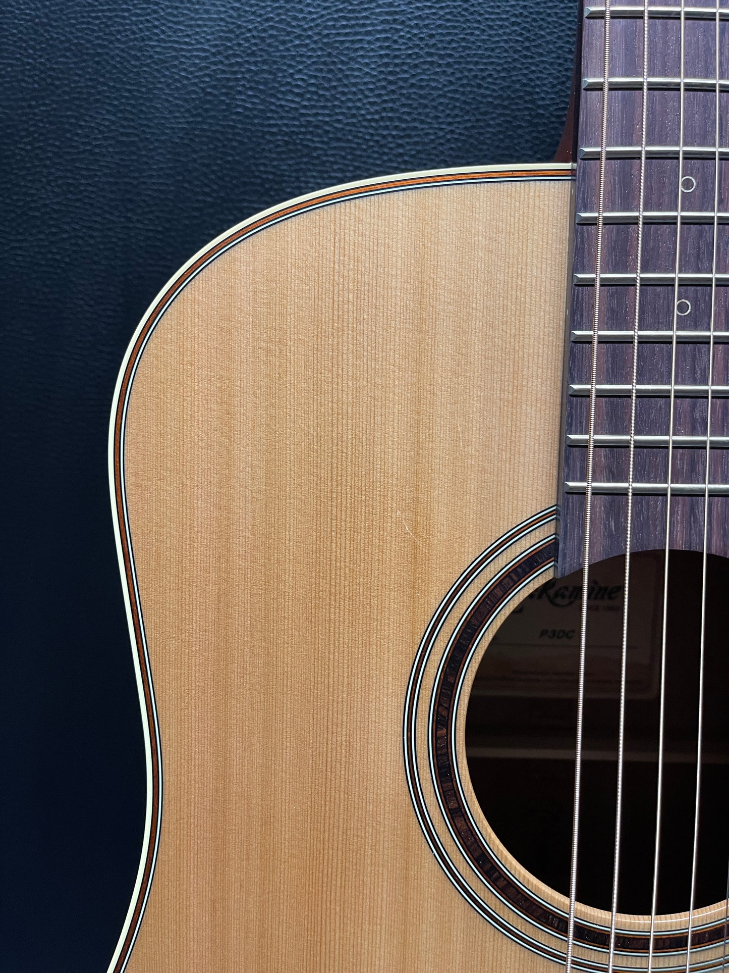 TAKAMINE P3DC Pro Series 3