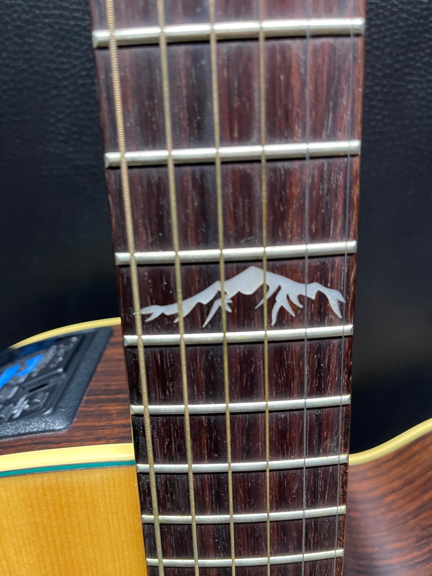 Takamine 99 LTD 1999 (PRE-OWNED)