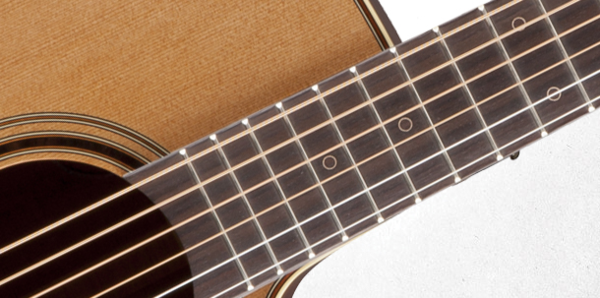 TAKAMAINE P3NC Pro Series 3