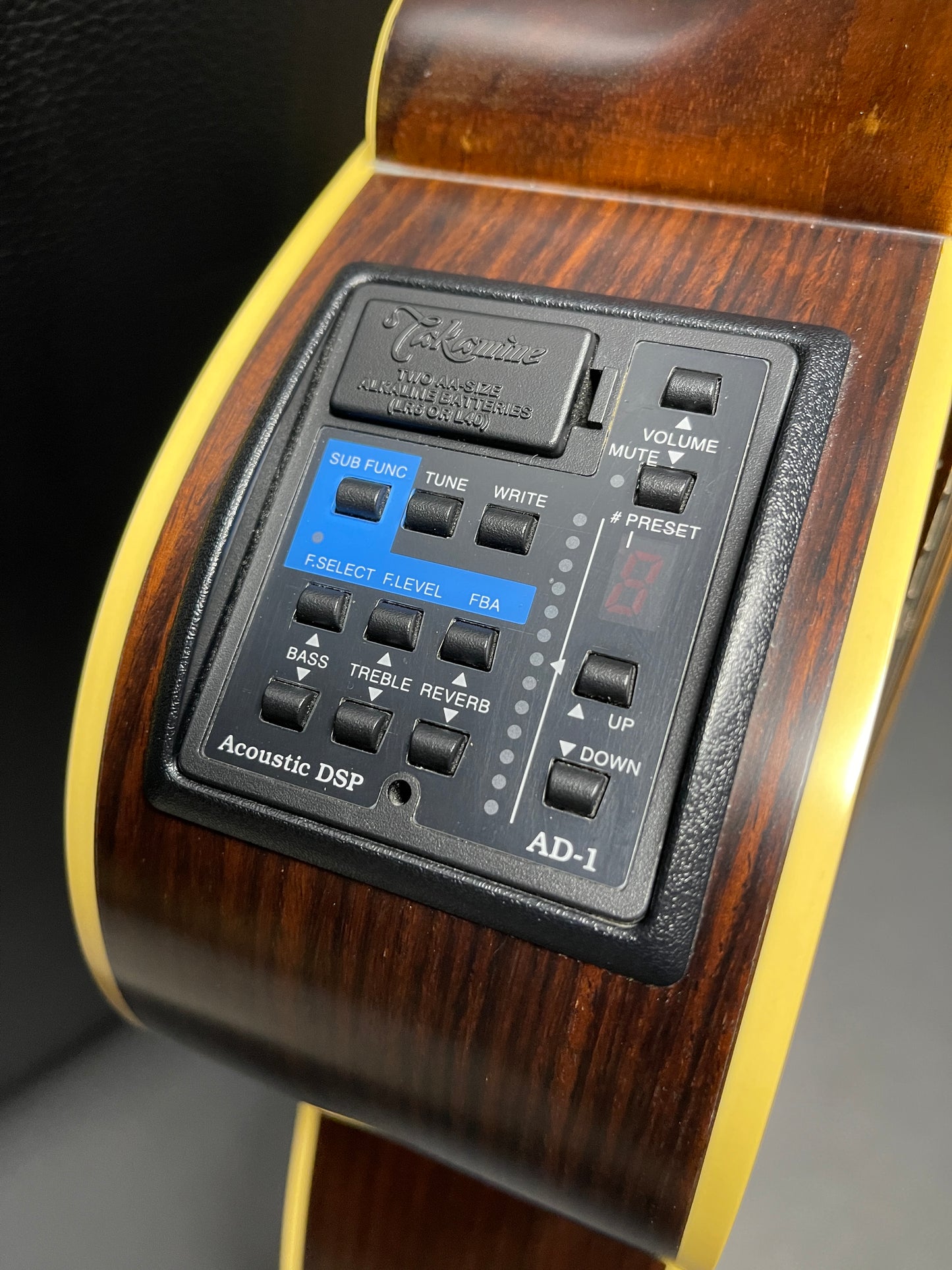 Takamine 99 LTD 1999 (PRE-OWNED)