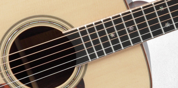 TAKAMAINE P7D Pro Series 7