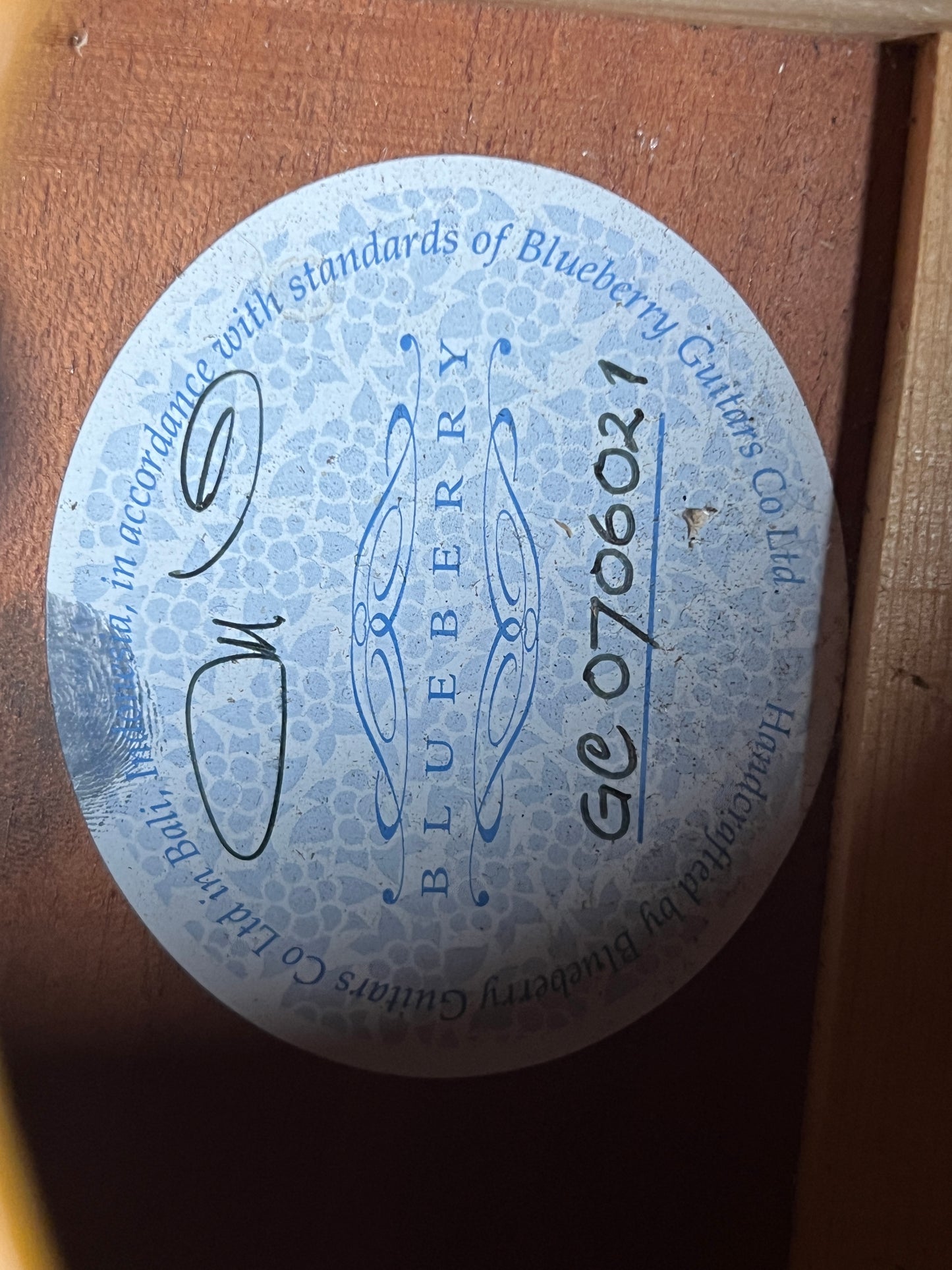 Blueberry Acoustic Guitar (PRE-OWNED)