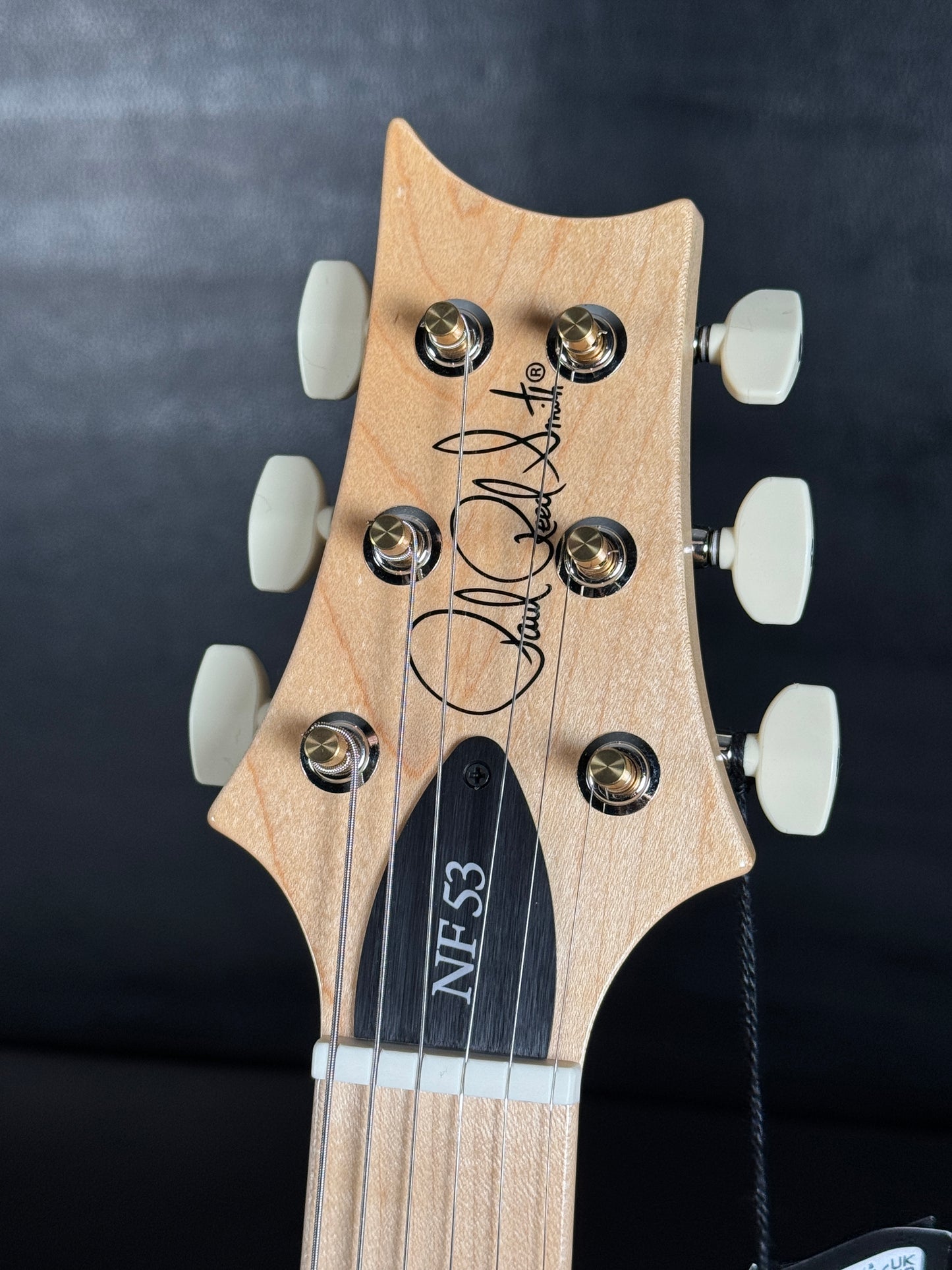 PRS NF 53 Electric Guitar - Black Doghair