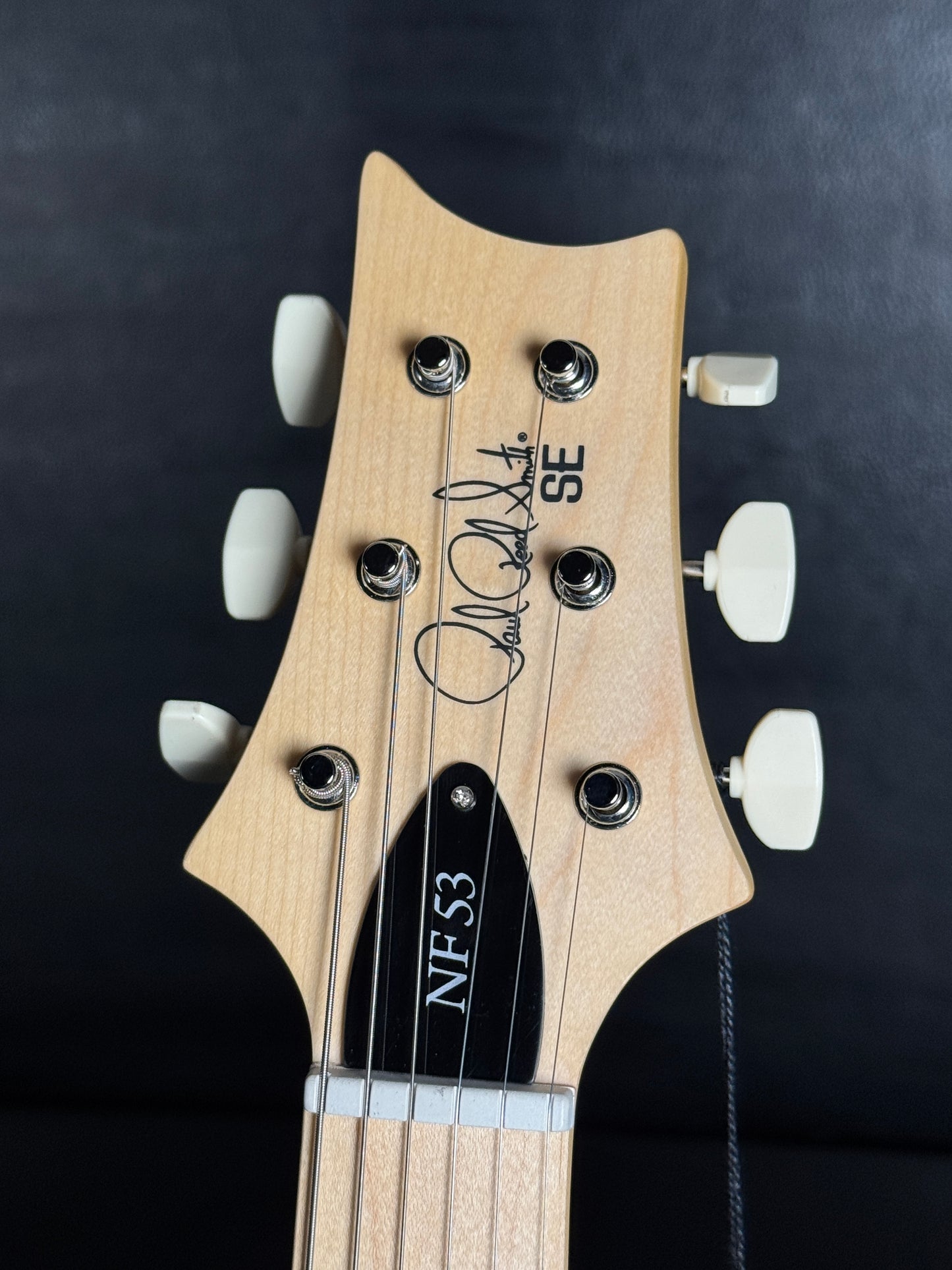 PRS SE NF 53 - Black Dog Hair