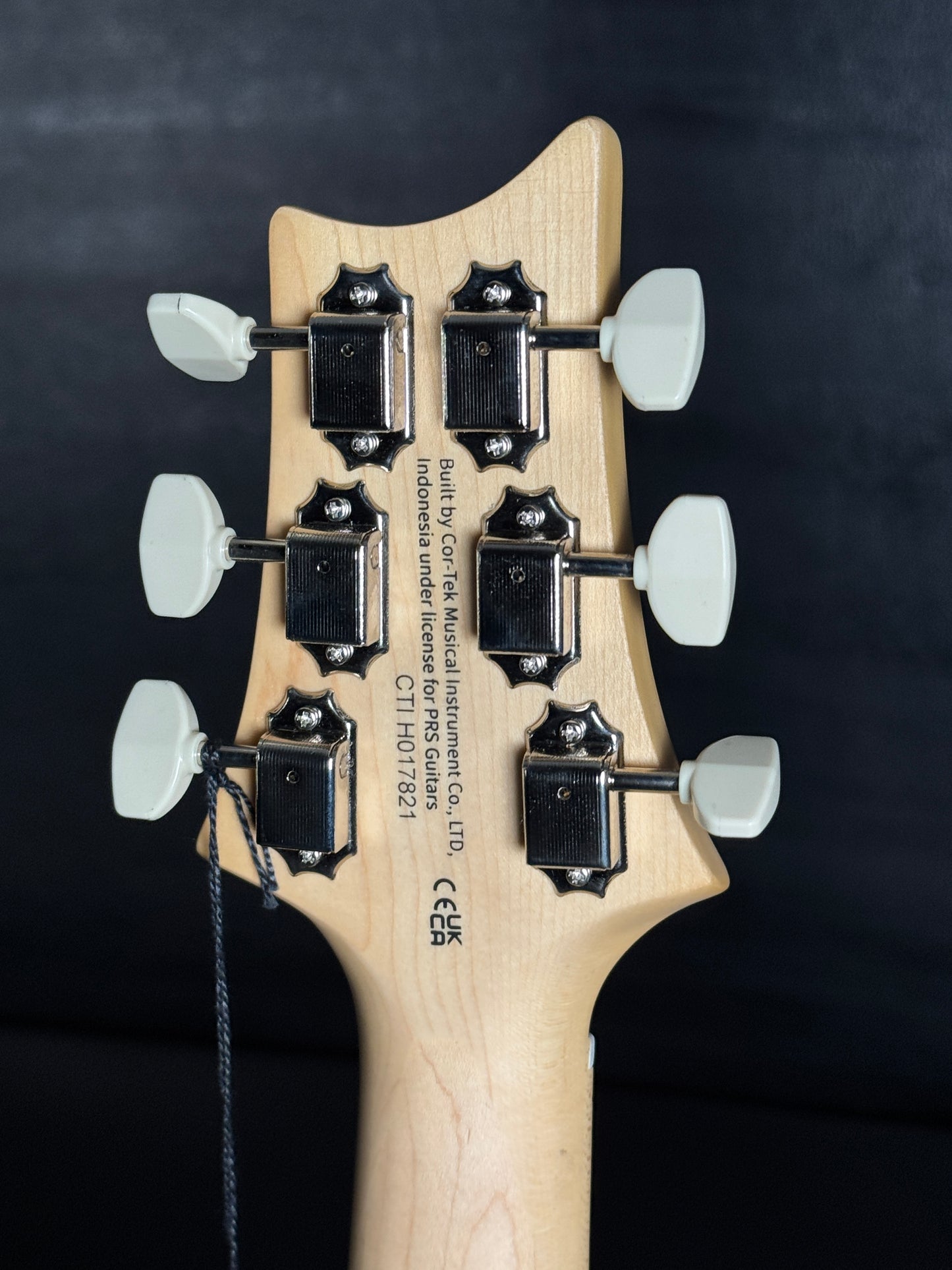 PRS SE NF 53 - Black Dog Hair