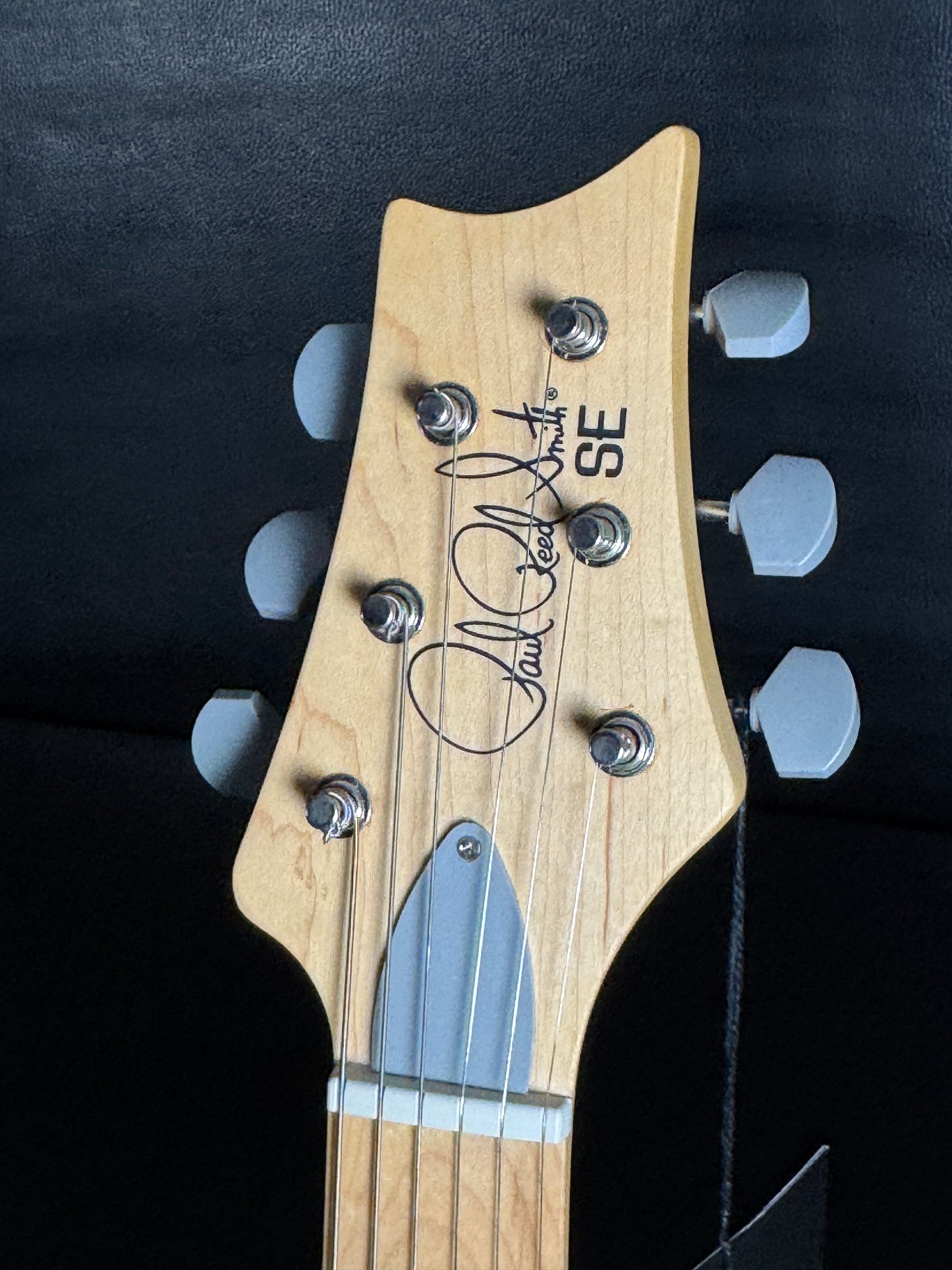 PRS SE Silver Sky - Overland Gray