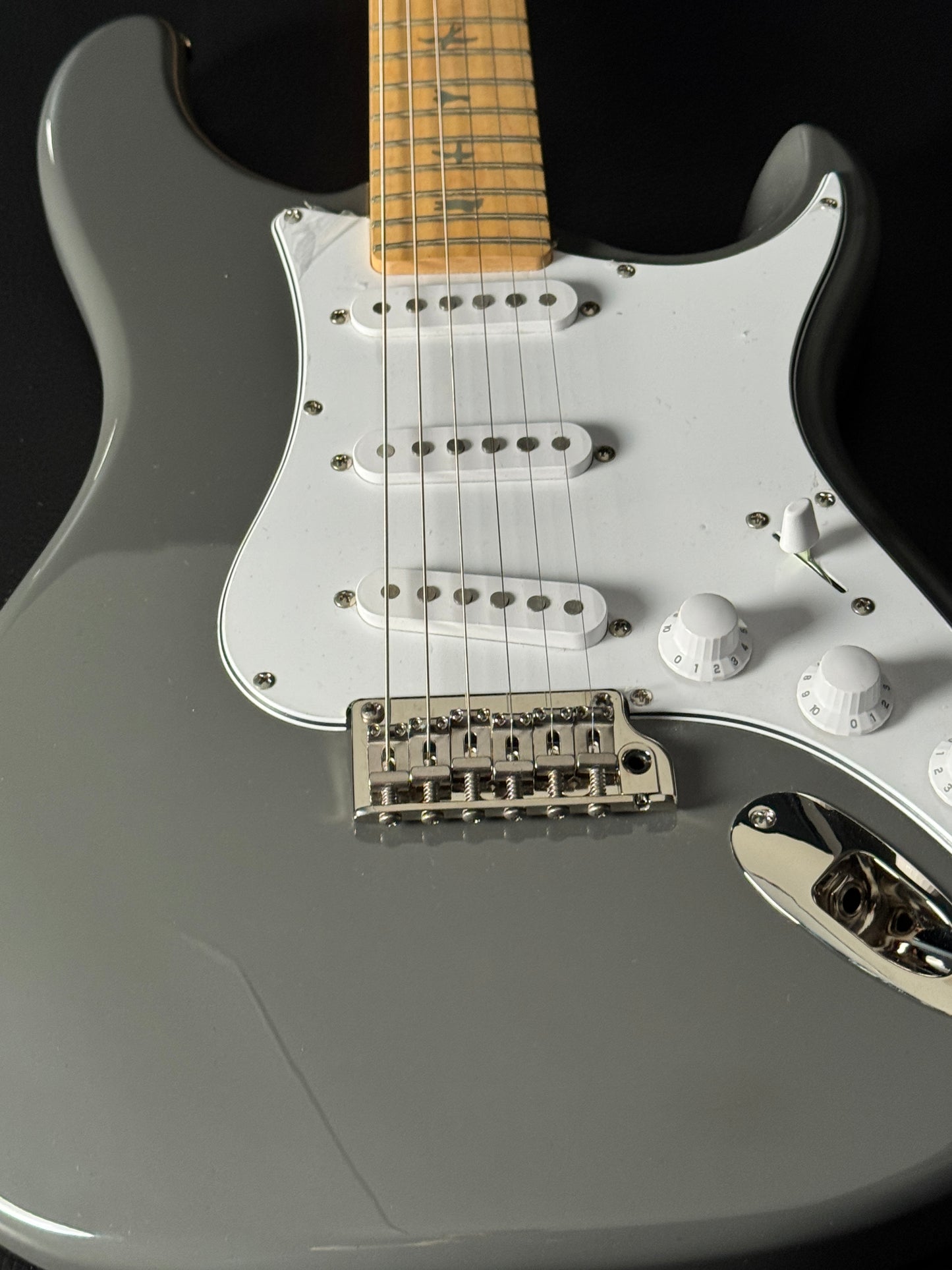 PRS SE Silver Sky - Overland Gray