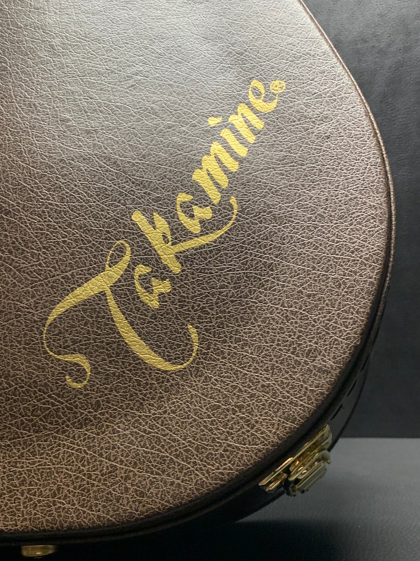 Takamine EF341SC Japan Black Acoustic-Electric Guitar