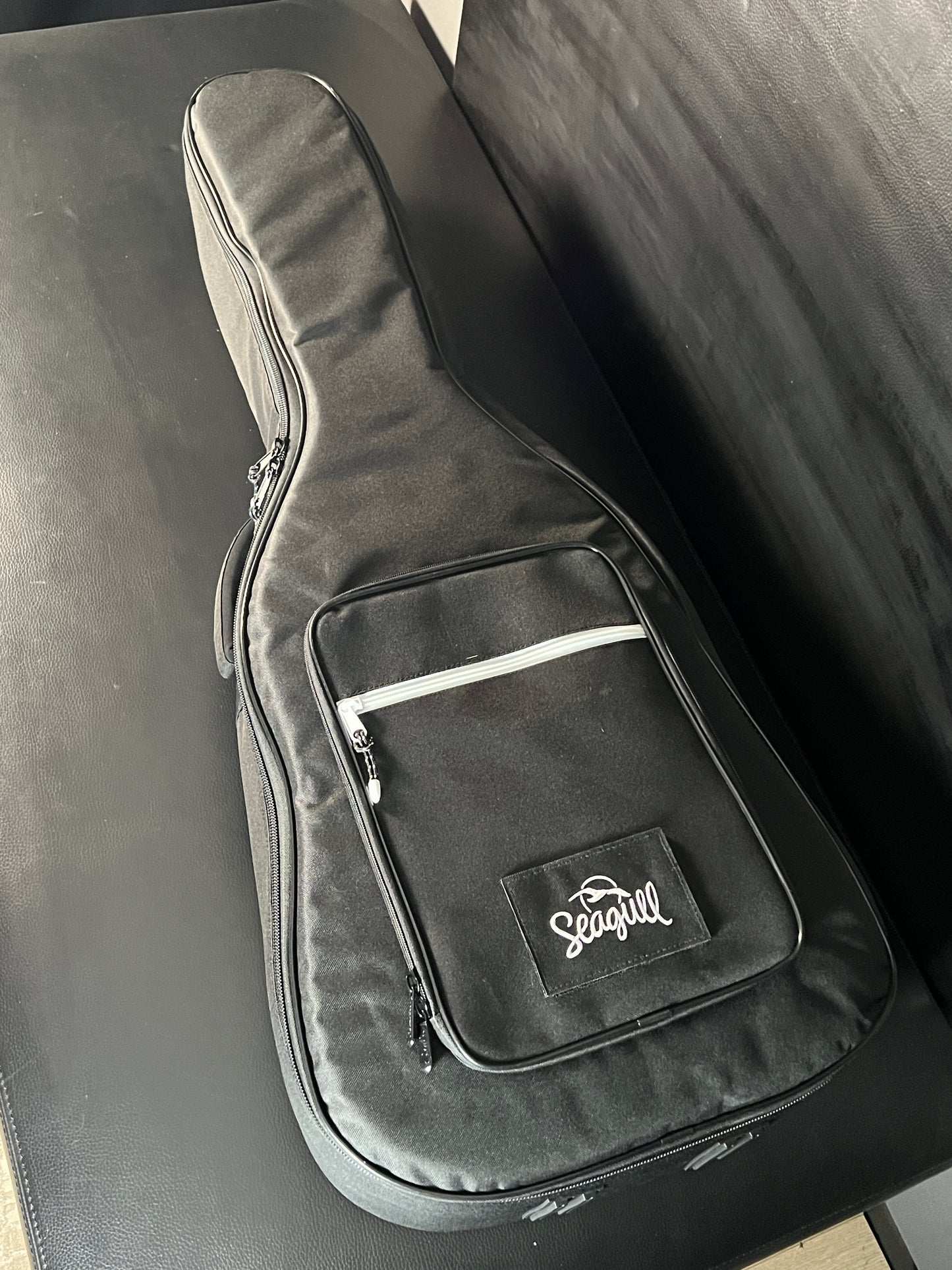 Seagull Artist Mosaic CW HG Anthem EQ w/ Gig Bag #307