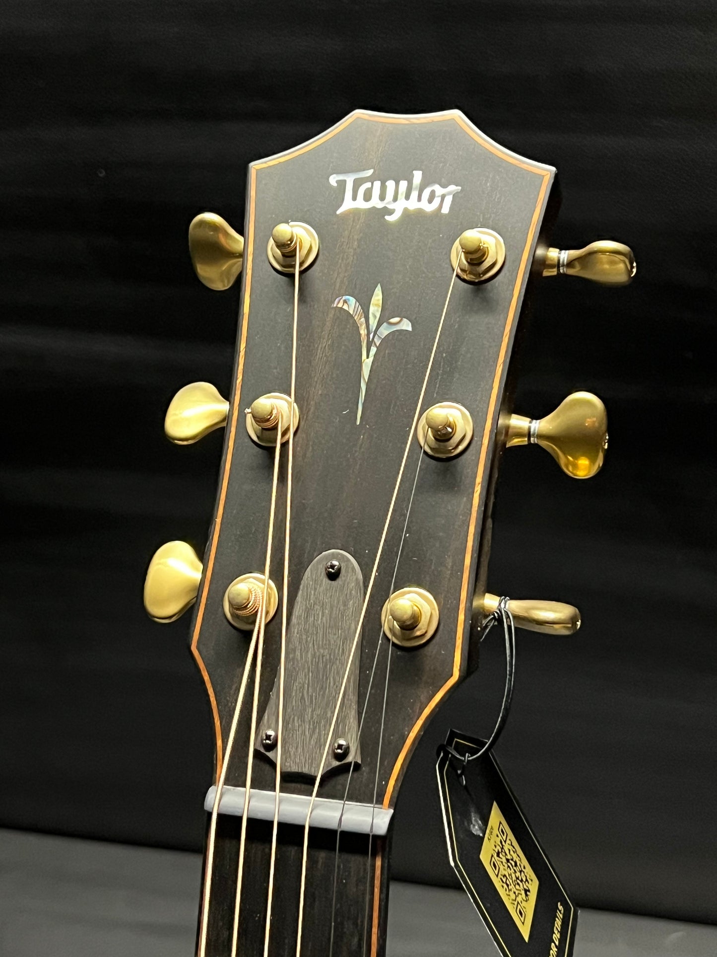 Taylor Builder's Edition K24ce Grand Auditorium
