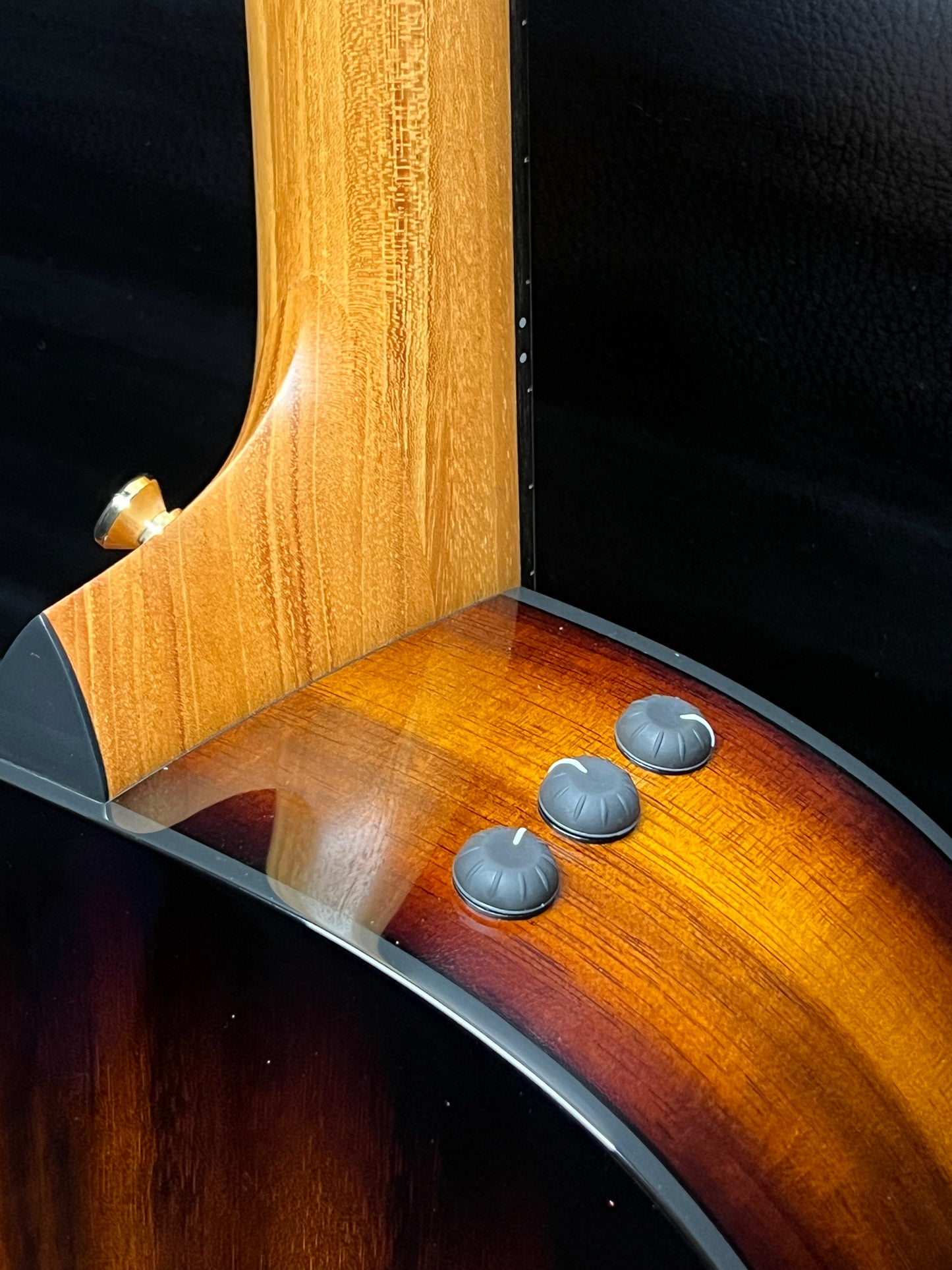 Taylor 224ce-K DLX Grand Auditorium