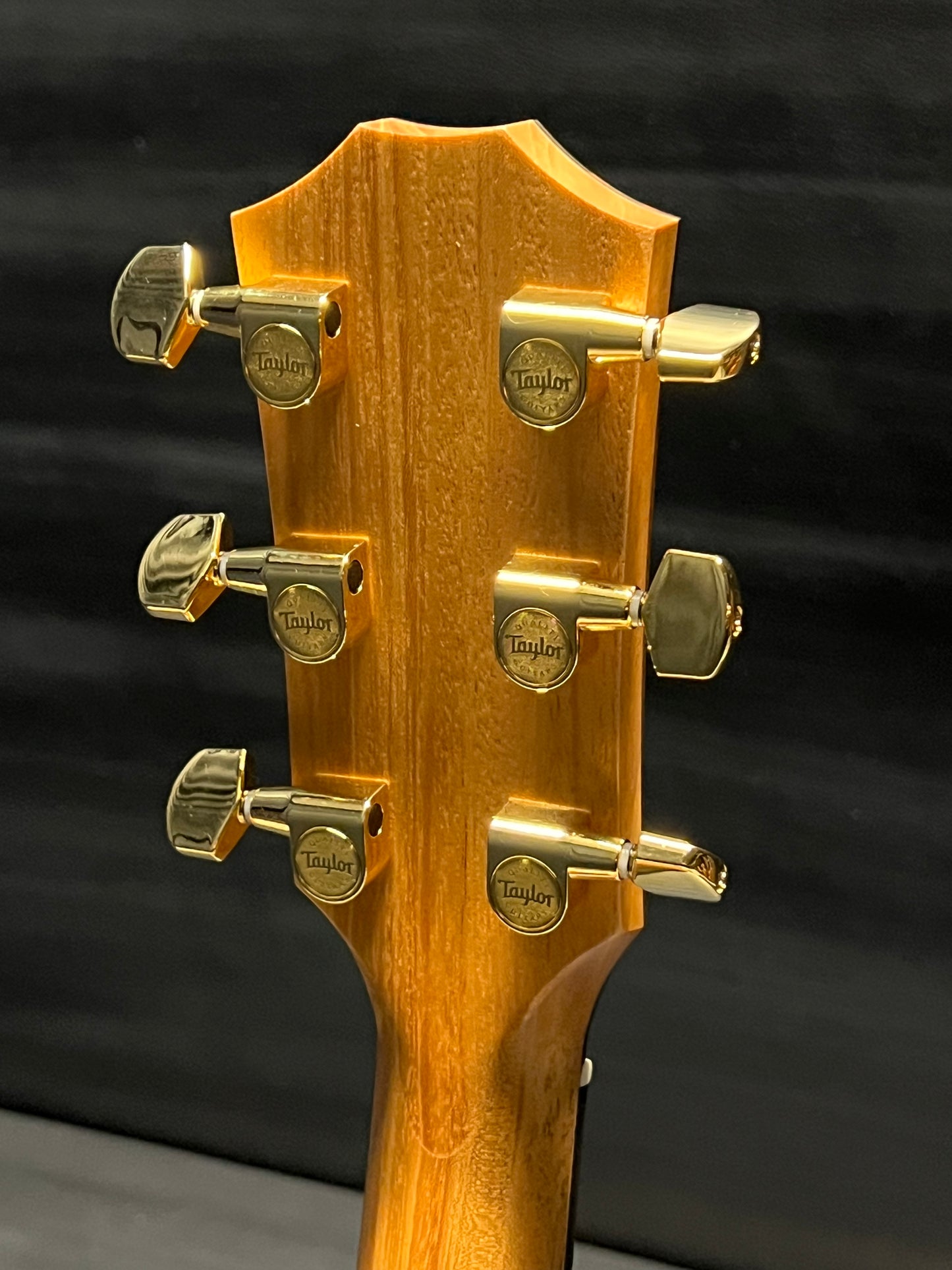 Taylor 224ce-K DLX Grand Auditorium