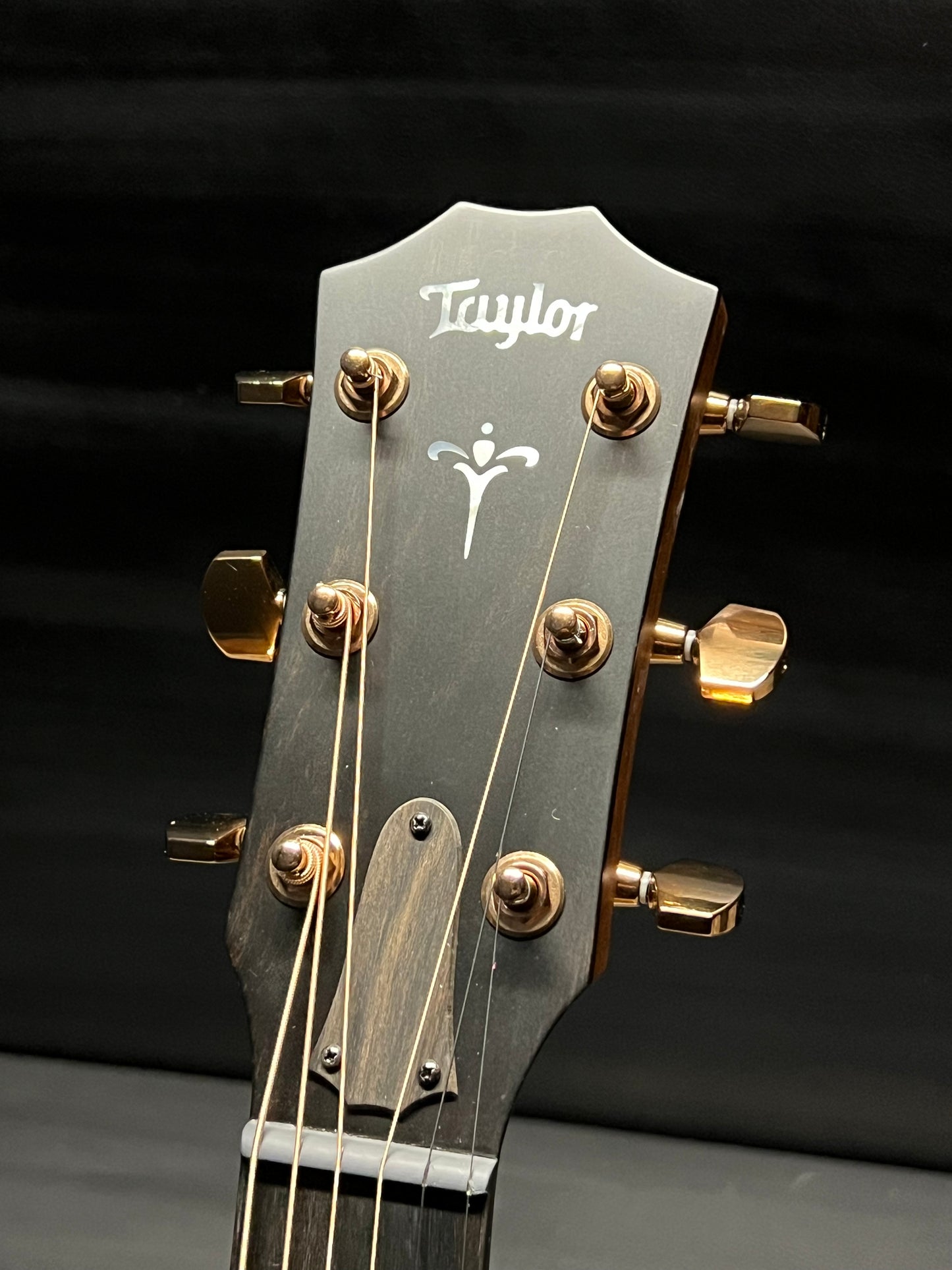 Taylor 724ce Grand Auditorium
