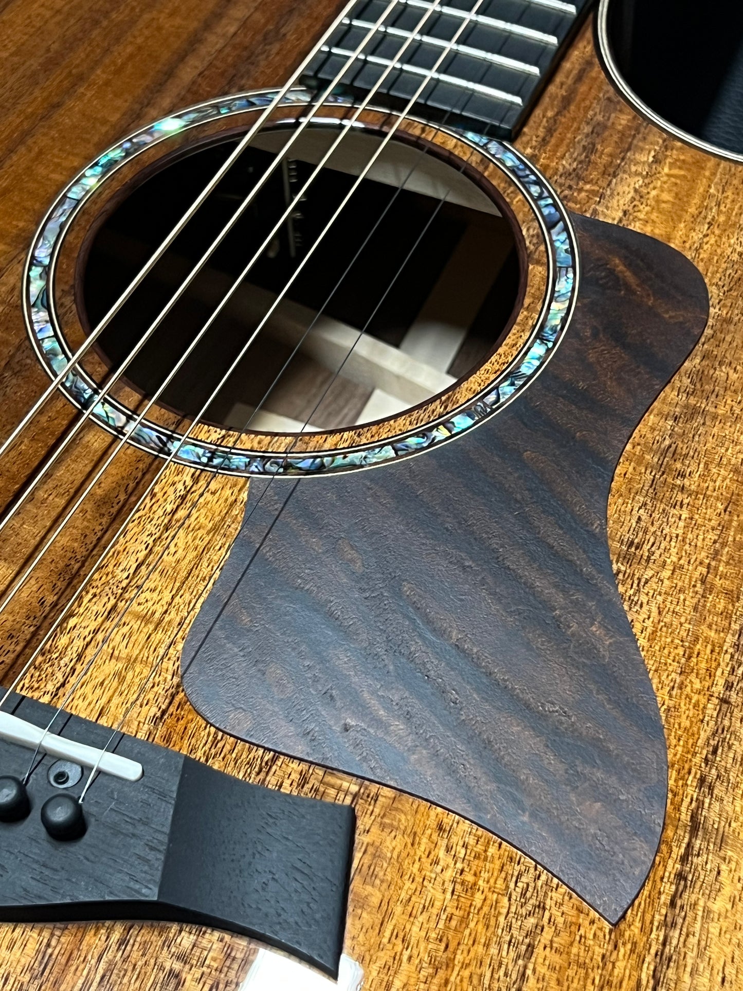 Taylor 724ce Grand Auditorium