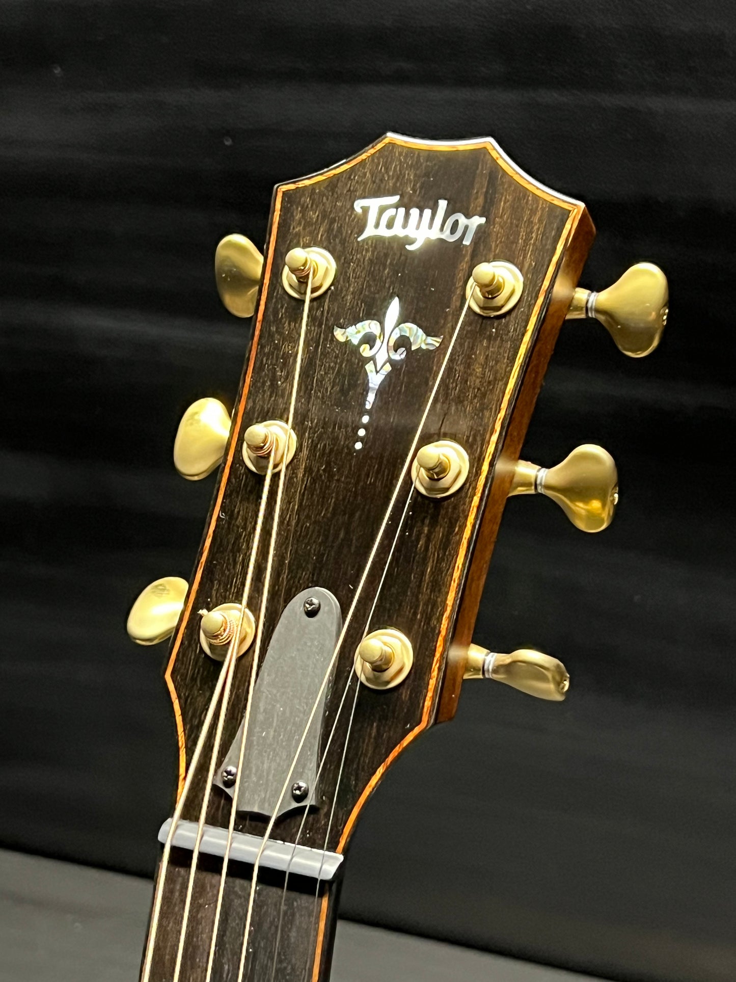 Taylor Builder's Edition 914ce Grand Auditorium