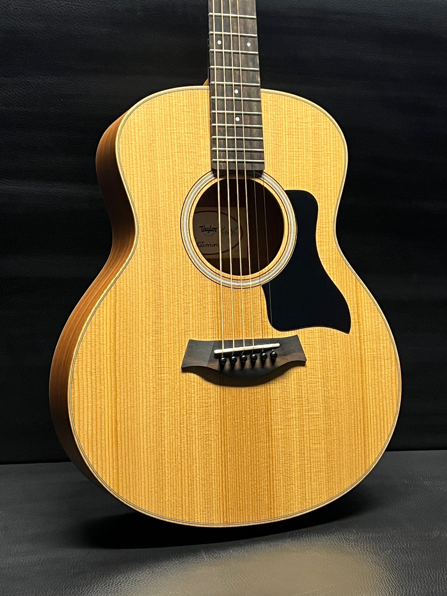 Taylor GS Mini Spruce