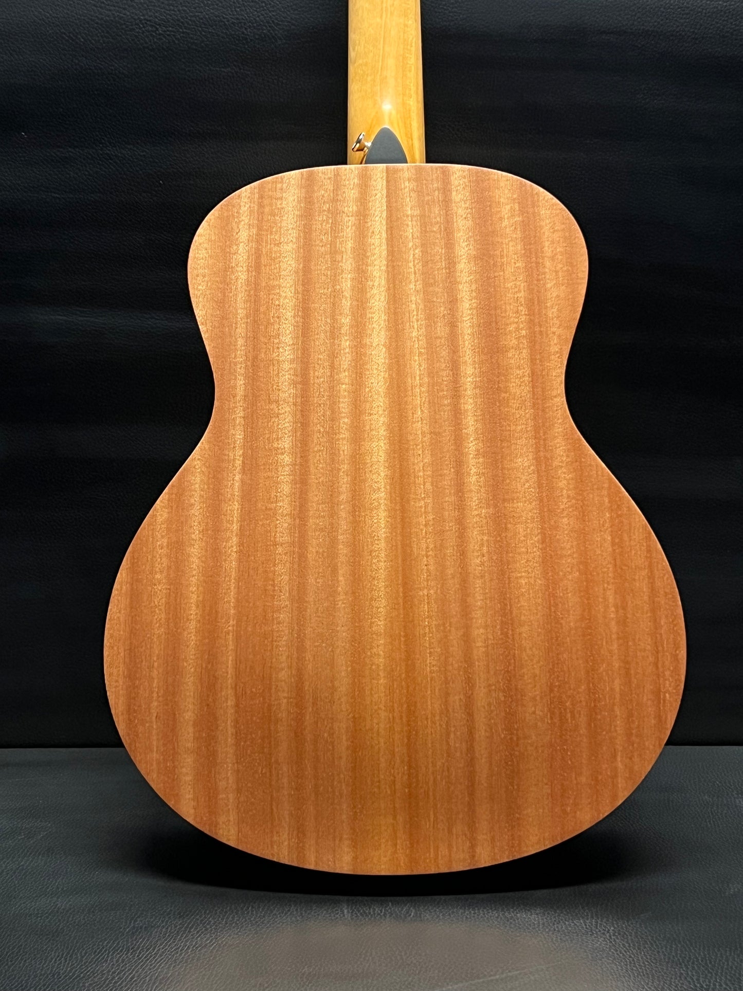 Taylor GS Mini Spruce