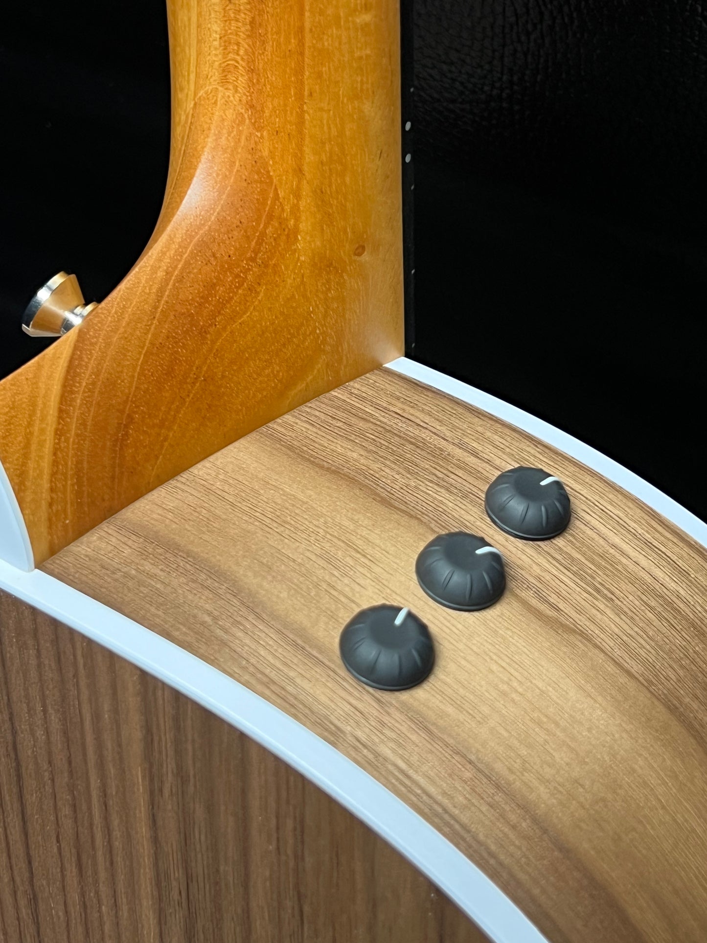 Taylor 214ce Grand Auditorium