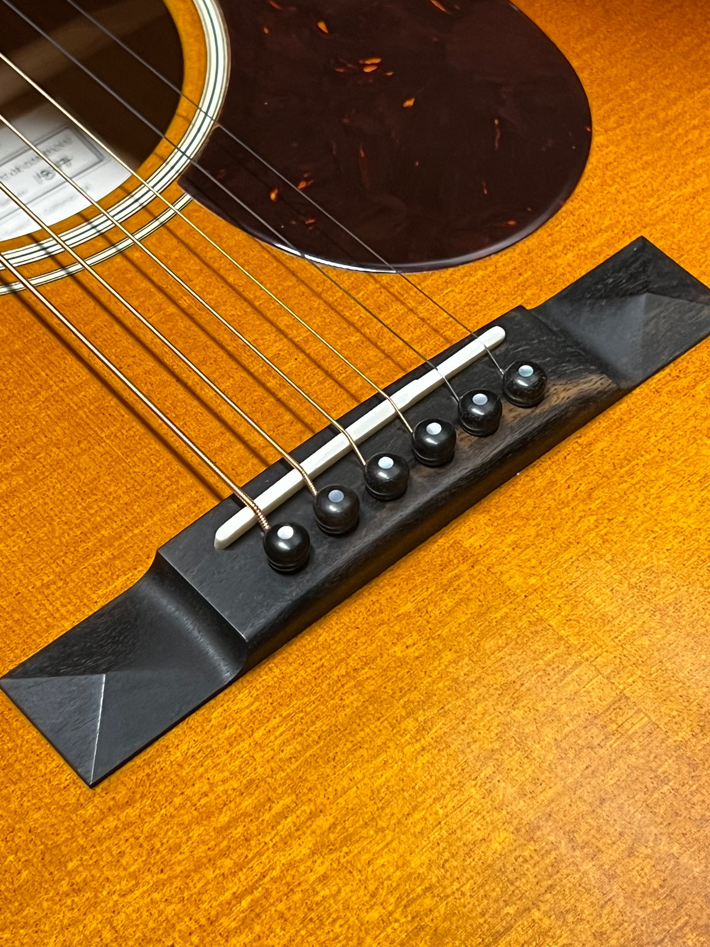 Santa Cruz H13