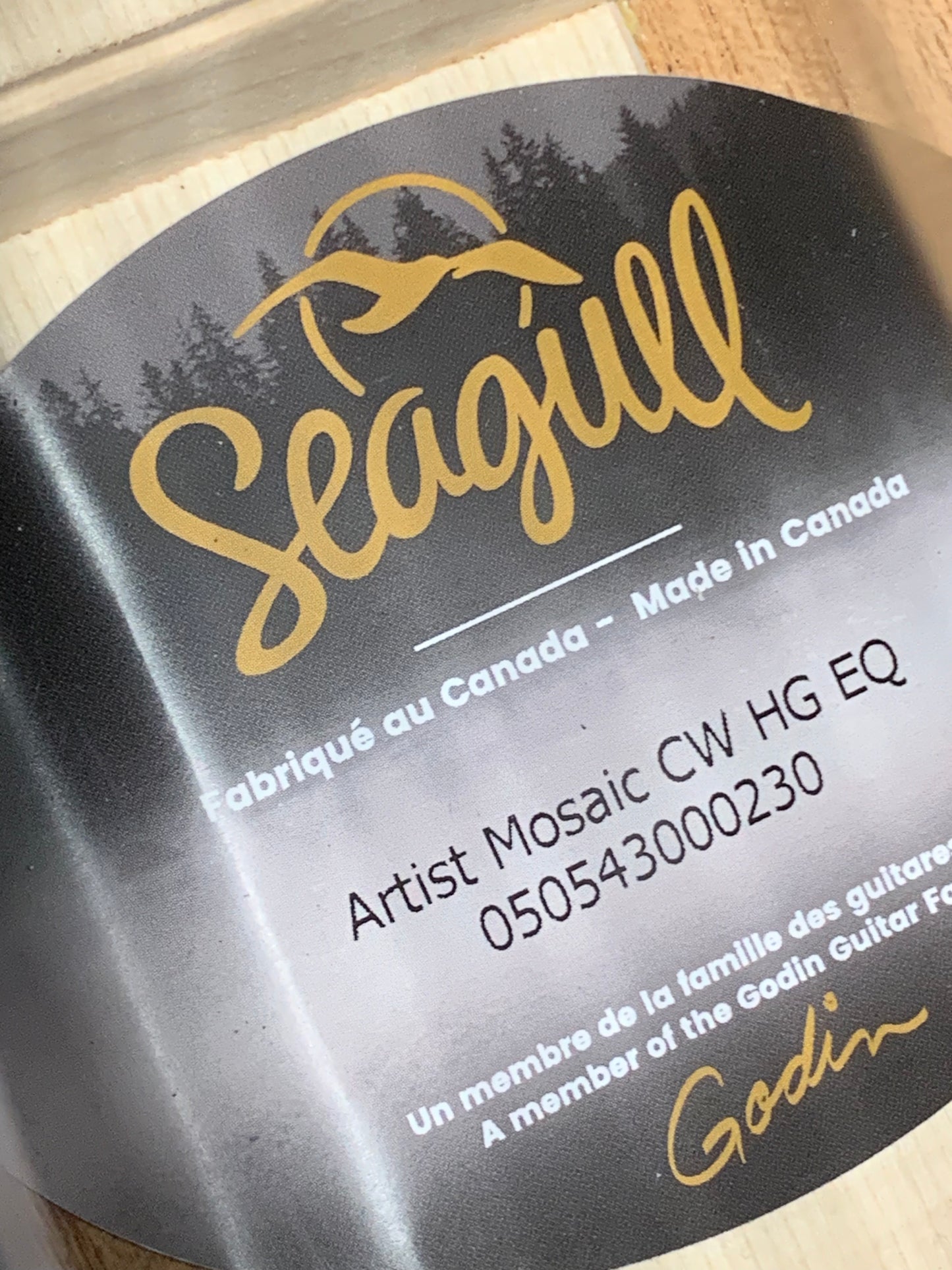 Seagull Artist Mosaic CW HG Anthem EQ w/ Gig Bag #050543000230