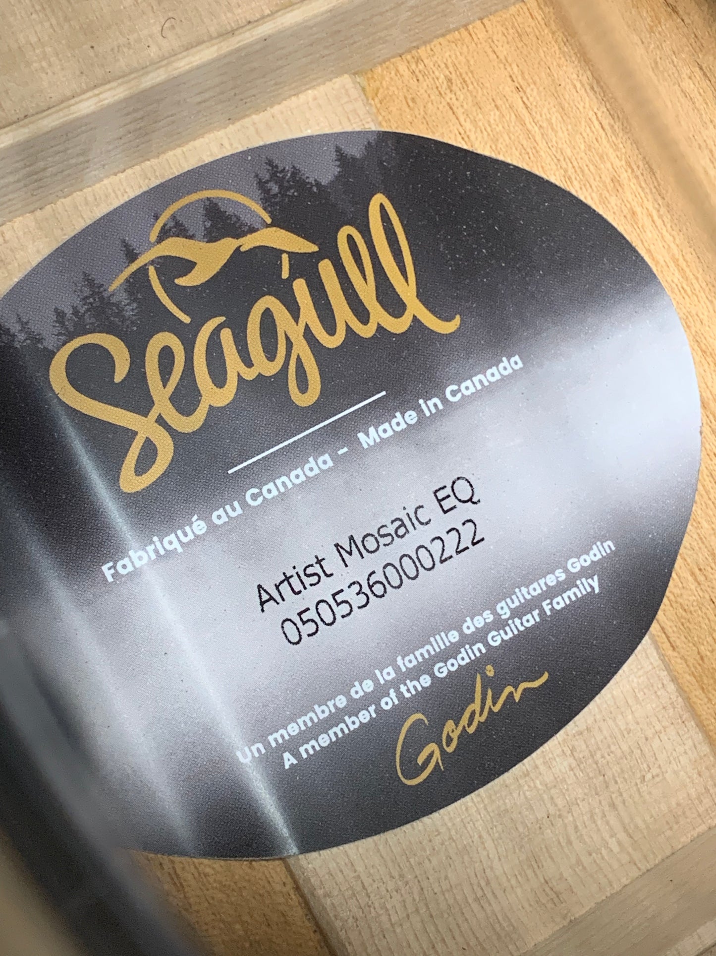 Seagull Artist Mosaic Anthem EQ w/ Gig Bag #050536000222