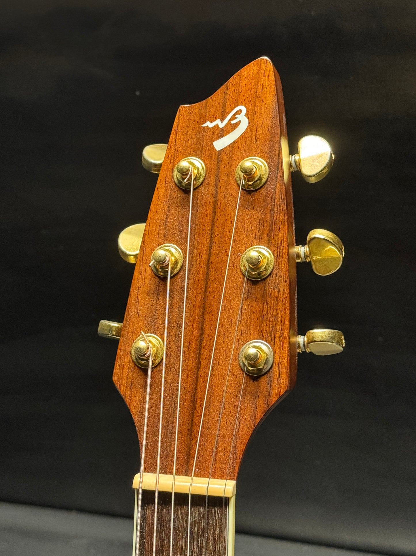 Breedlove AC25/SR Plus (PRE-OWNED)