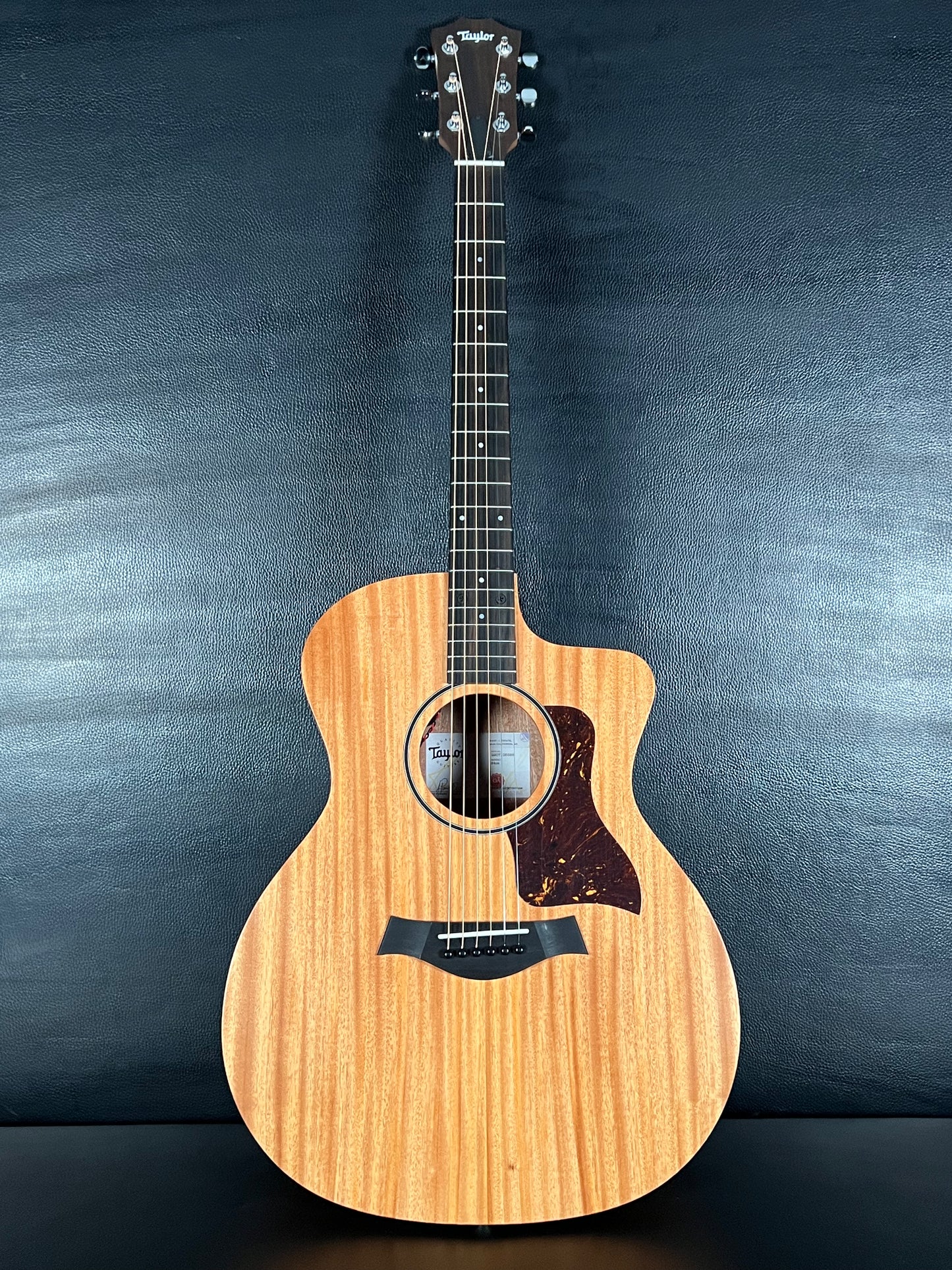 Taylor 24ce Grand Auditorium