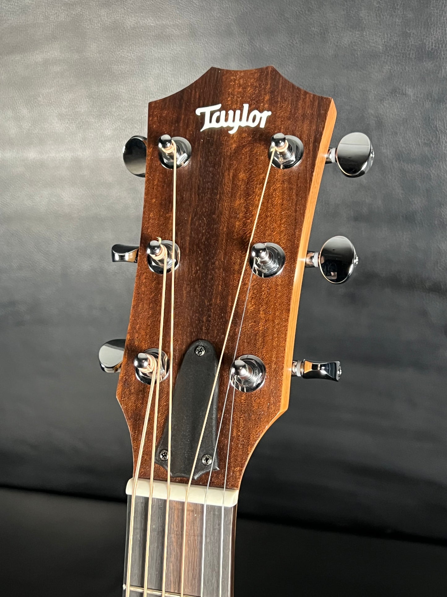 Taylor 24ce Grand Auditorium