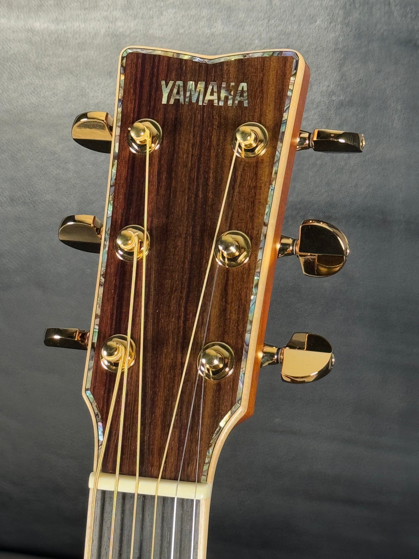 Yamaha LJ 56 Custom #IJP0498
