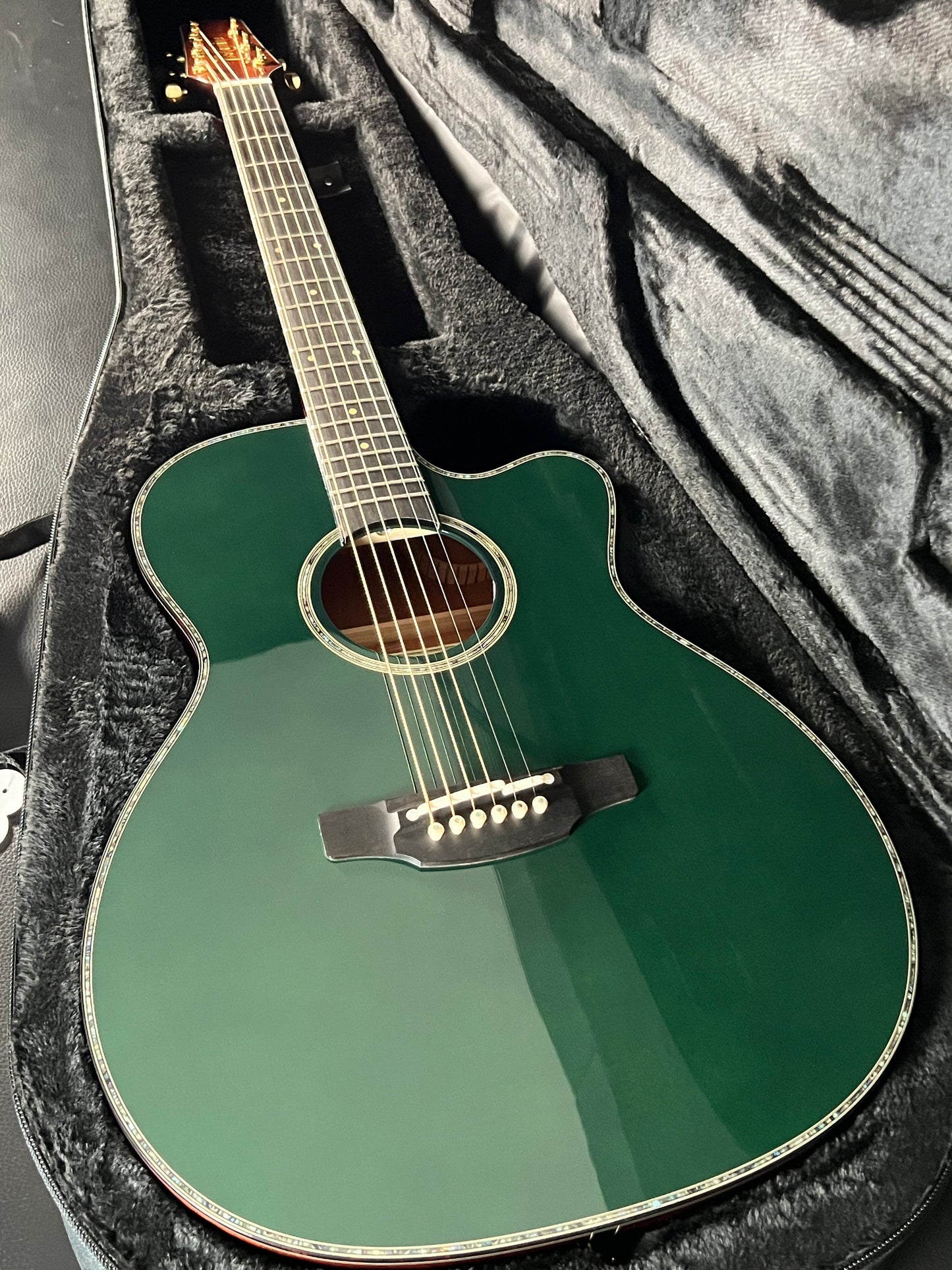 Takamine LTD2025 Limited Edition Antique Evergreen #63020438