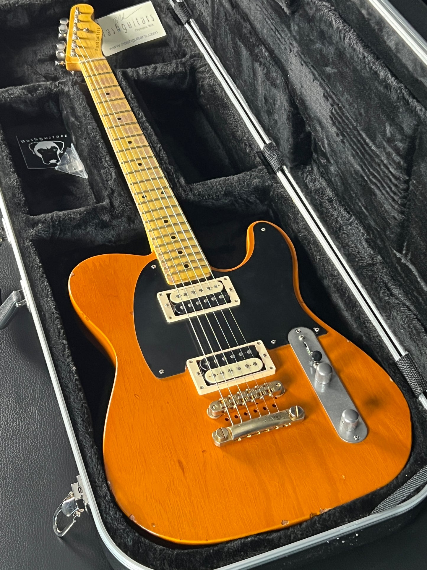 Nash Tele/Gibs
