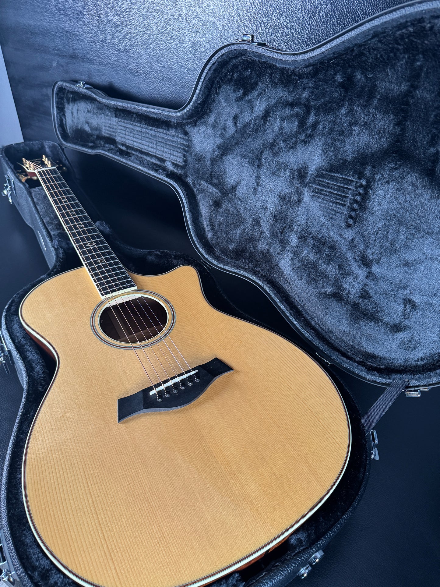 Taylor GACE FLTD Fall Limited Grand Auditorium Natural (PRE-OWNED)