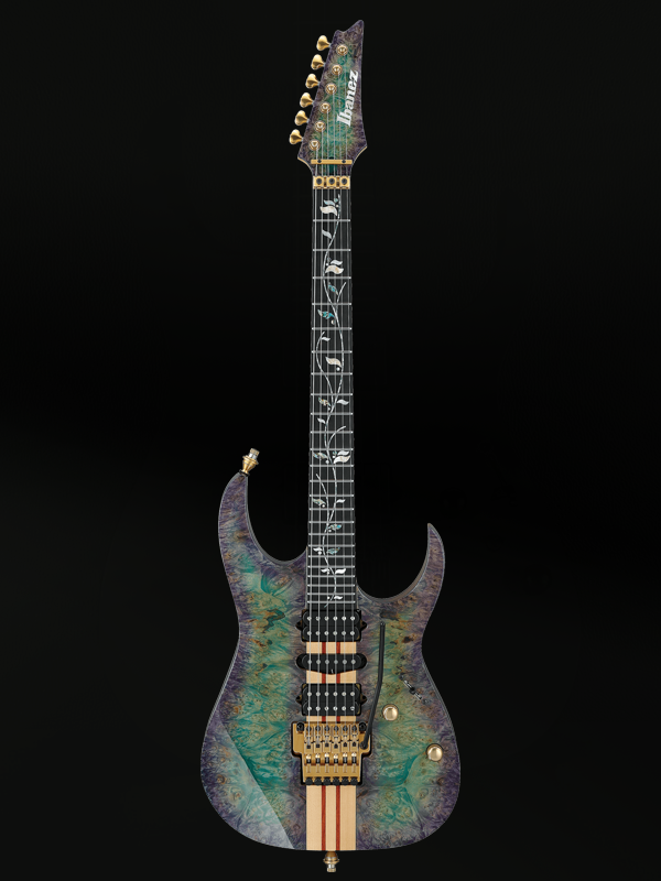 Ibanez VISIONS IV2RG Custom Shop