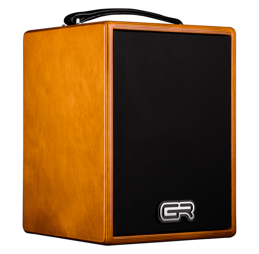 GR Guitar WD Acoustic 5